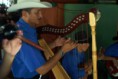 /album/un-vistazo-al-estado-guarico/toque-de-musica-llanera-jpg/